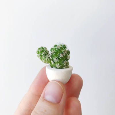 Fotografía de Planta en oferta